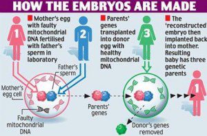 Children With DNA From 3 Parents!