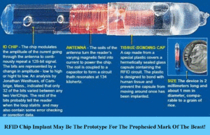 Mark of the Beast Prototype